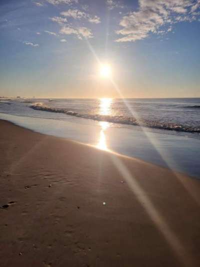 Ocean City Beachfront  Condominiums